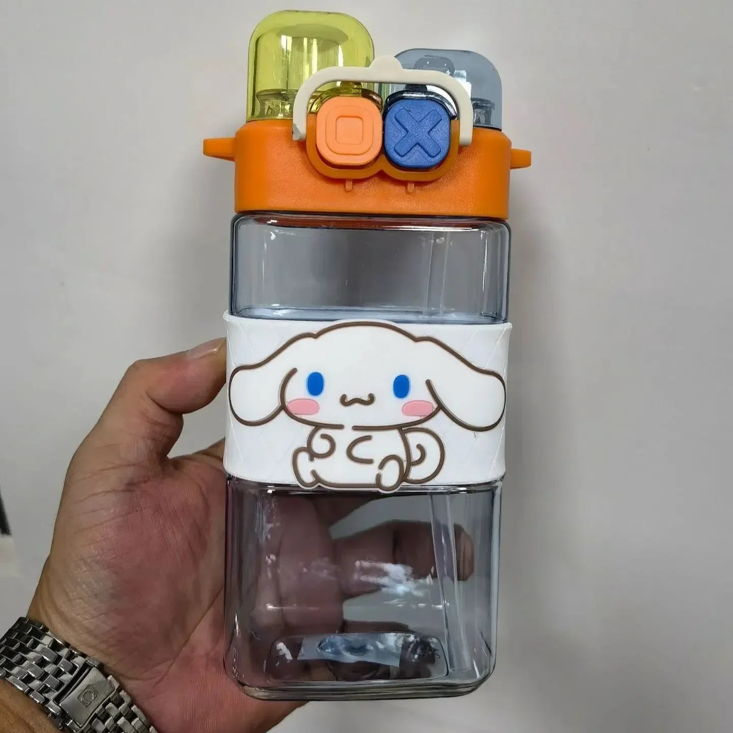 Double-Drink Straw Cup Water Bottle (580 ml)