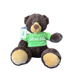 Message Bear Plush Series - KawaiWorld