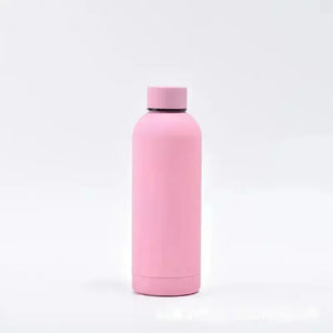 Matt Finish Stainless Steel Water Bottle (500 ml) - Bear Hugs